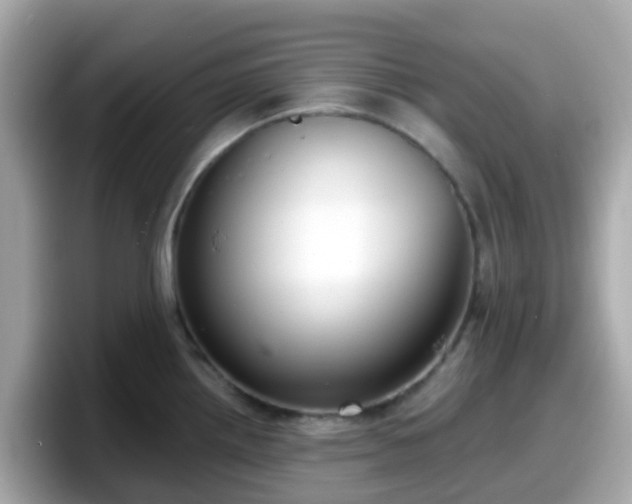 X0000098091242200804110956