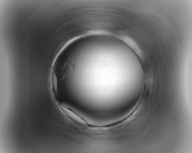 X0000098091244200804110956