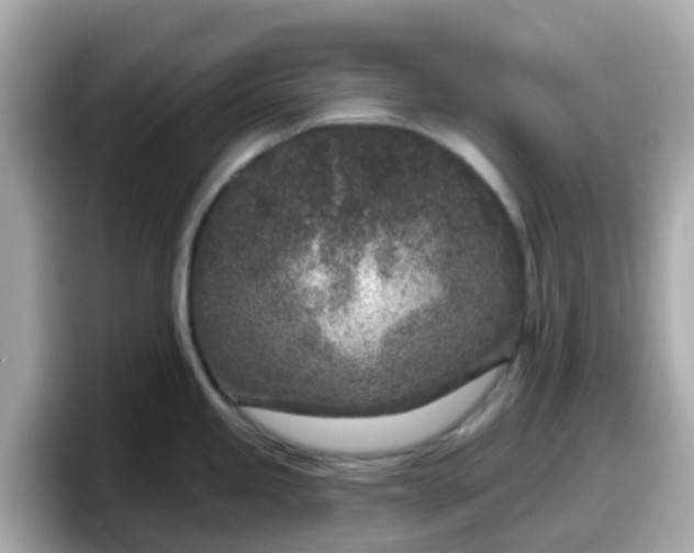 X0000098091245200804110956