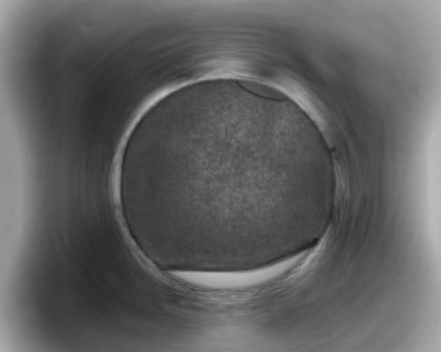 X0000098091246200804110956