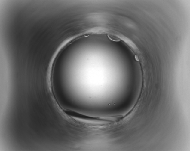 X0000098091248200804110956
