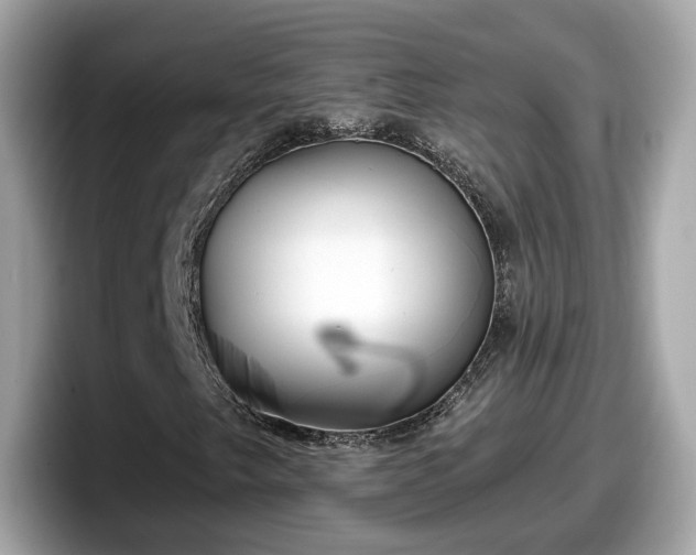 X0000098091249200804110955