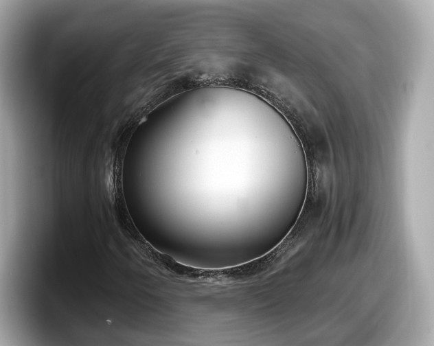 X0000098091250200804110955