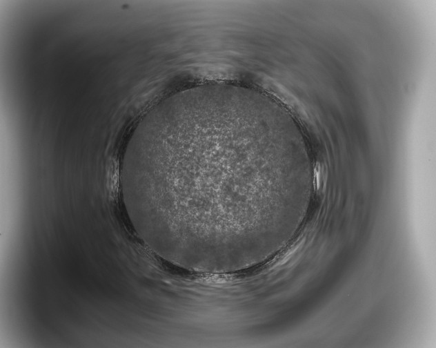 X0000098091251200804110955