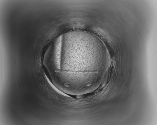 X0000098091252200804110955