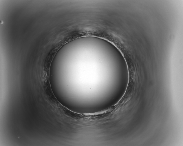 X0000098091253200804110955