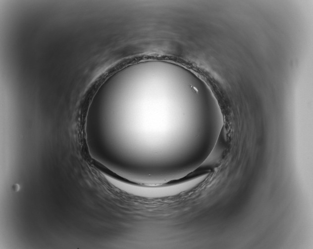 X0000098091256200804110955