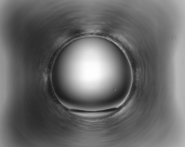 X0000098091257200804110955