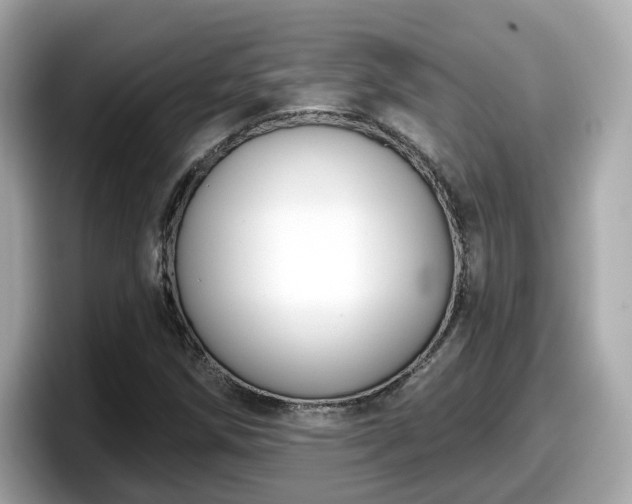 X0000098091258200804110955