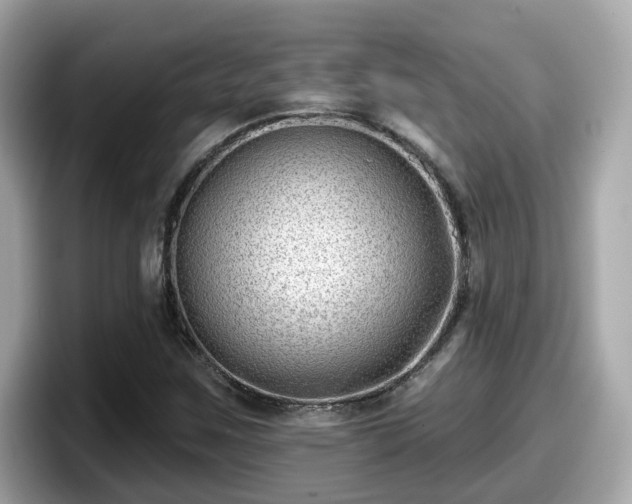 X0000098091259200804110955