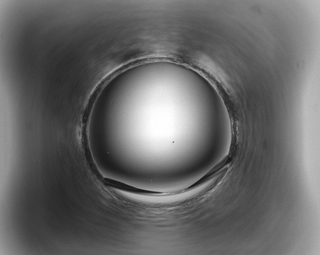 X0000098091260200804110955