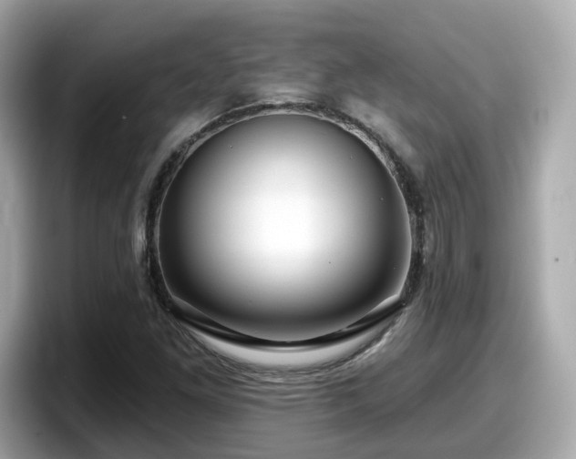 X0000098091261200804110955