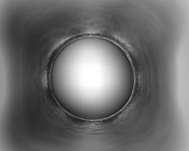 X0000098091262200804110955