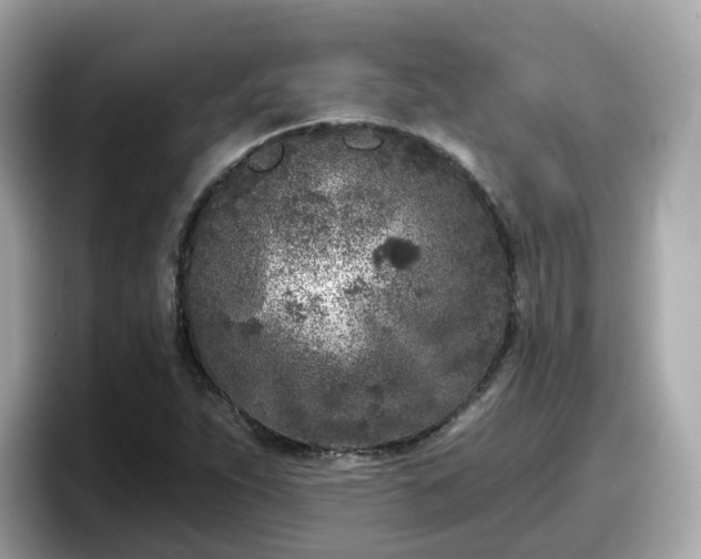 X0000098091263200804110955
