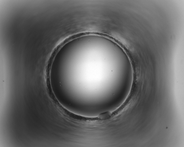 X0000098091264200804110955