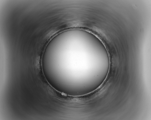 X0000098091265200804110955
