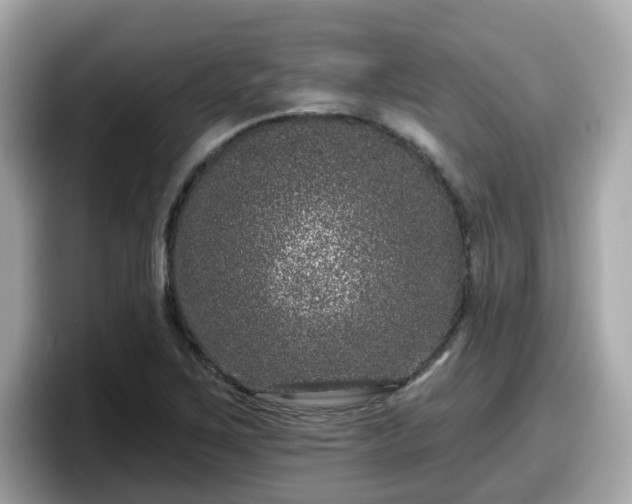 X0000098091267200804110955