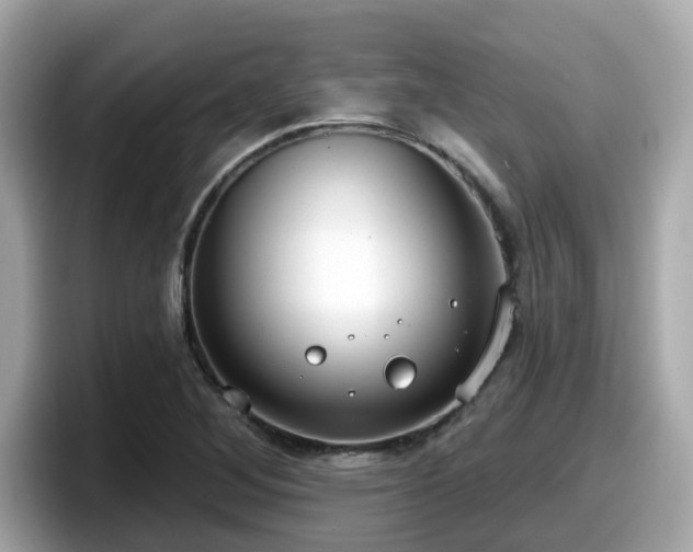 X0000098091268200804110955