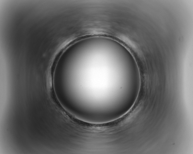 X0000098091269200804110955