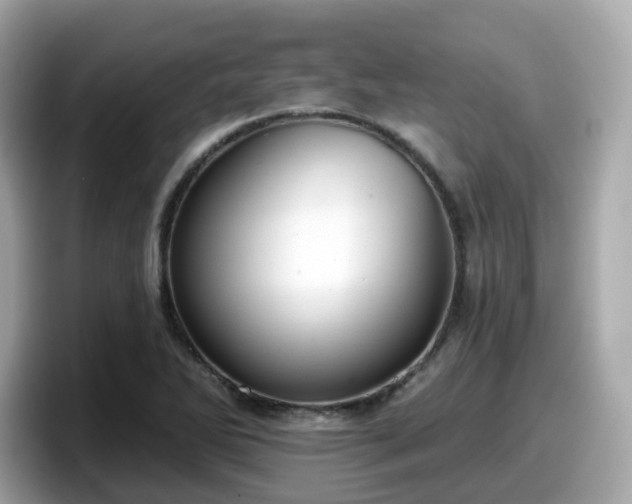 X0000098091270200804110955