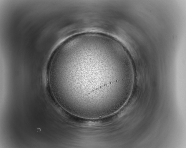 X0000098091271200804110955