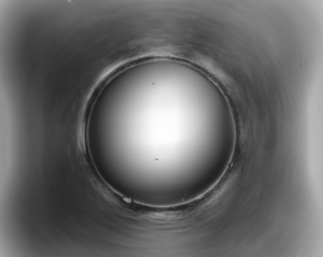 X0000098091272200804110955