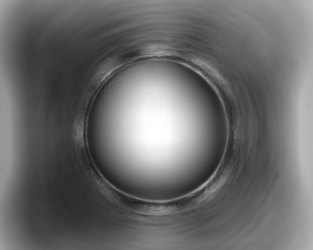 X0000098091273200804110955