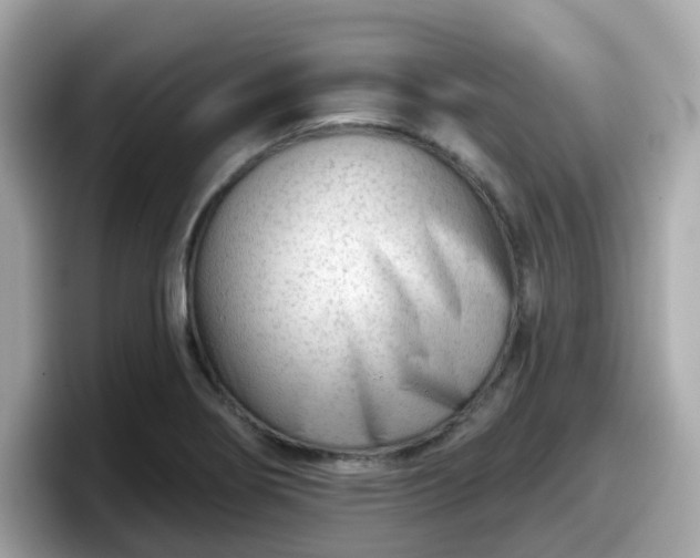 X0000098091274200804110955