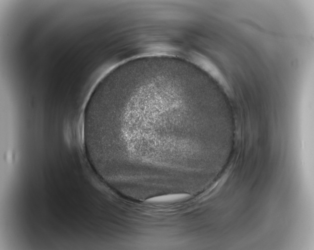 X0000098091275200804110955