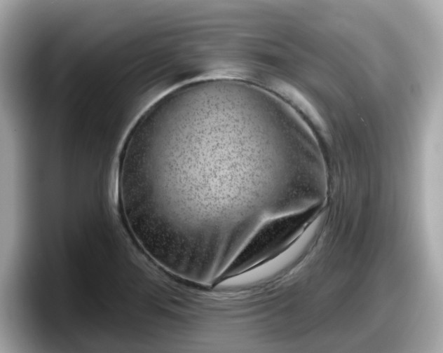 X0000098091276200804110955