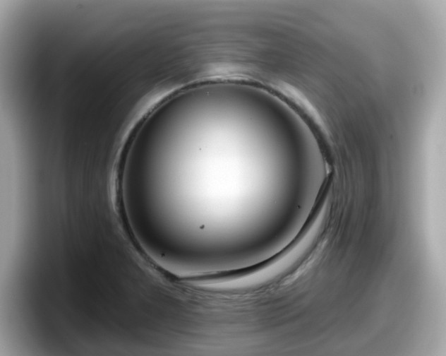 X0000098091277200804110955