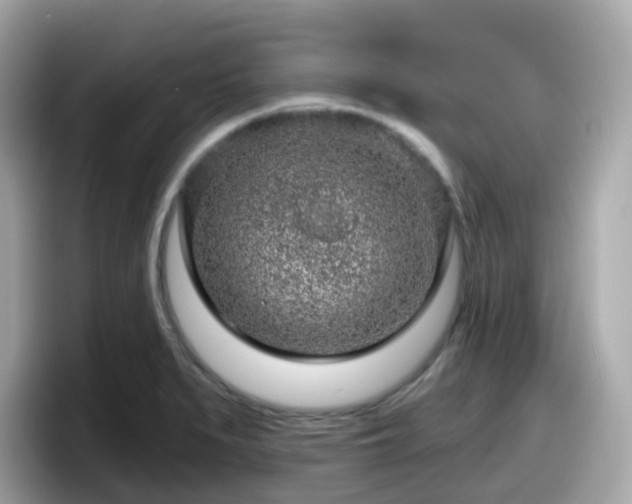 X0000098091279200804110955