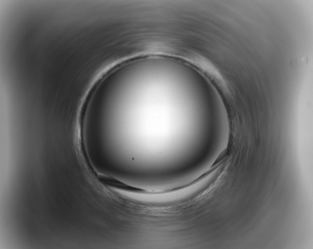 X0000098091280200804110955
