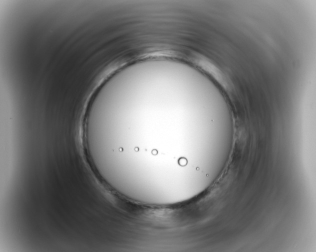 X0000098091282200804110955