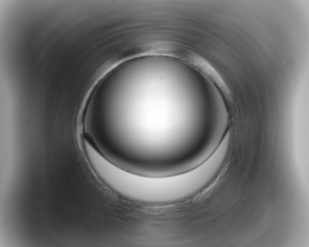 X0000098091284200804110955
