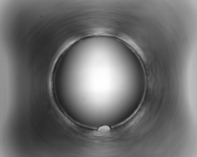 X0000098091285200804110955