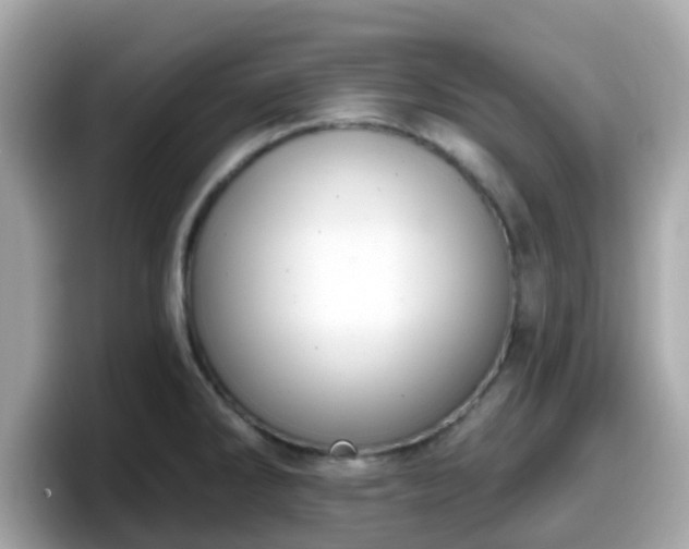 X0000098091286200804110955