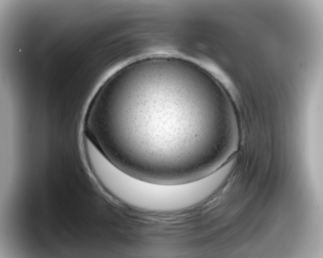 X0000098091287200804110955