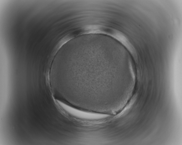 X0000098091289200804110955