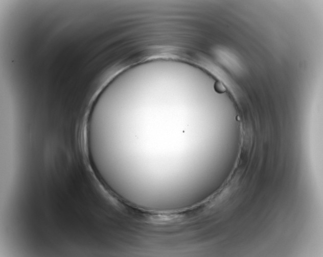 X0000098091290200804110955