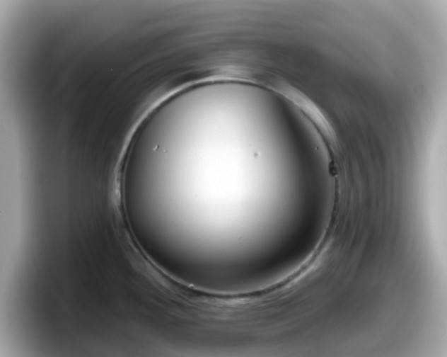 X0000098091292200804110955