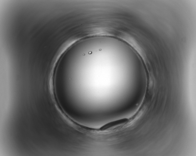 X0000098091293200804110955