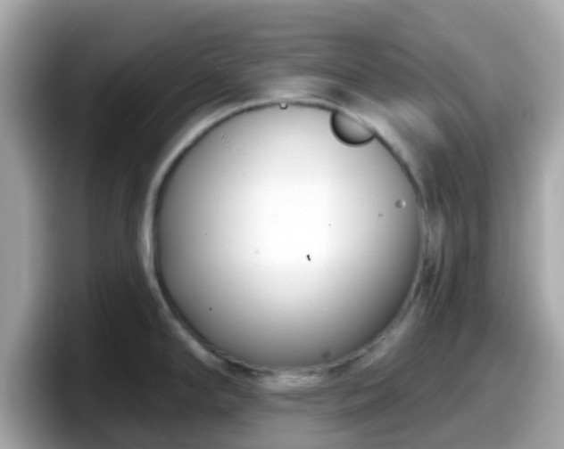 X0000098091294200804110955
