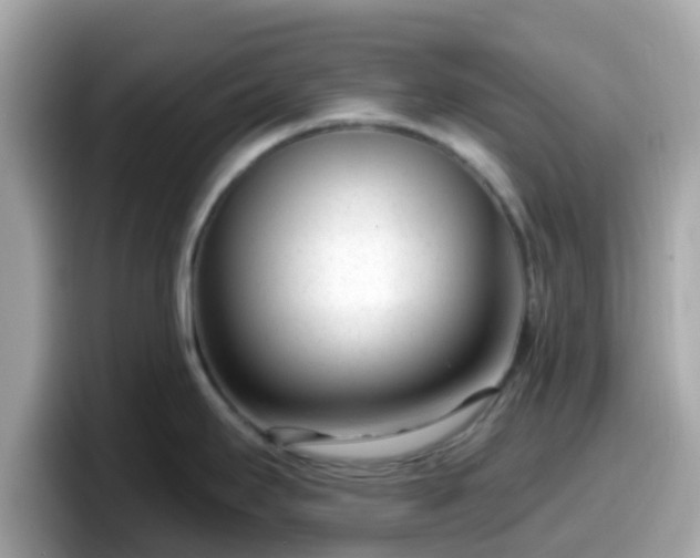 X0000098091295200804110955