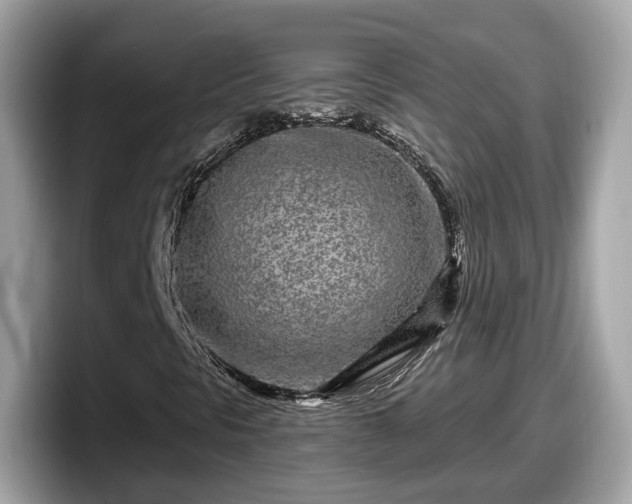 X0000098091297200804110954