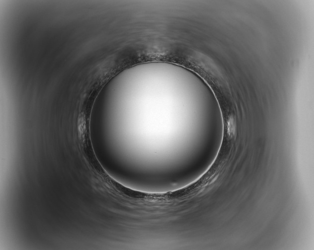 X0000098091299200804110954