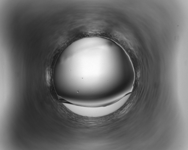 X0000098091300200804110954