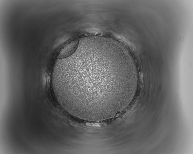 X0000098091302200804110954