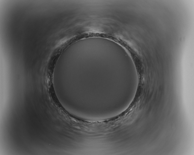 X0000098091303200804110954