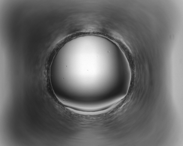 X0000098091304200804110954